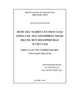Bước đầu nghiên cứu phân loại giống cóc mắt xenophrys thuộc họ cóc bùn megophryidae ở việt nam 