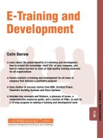 Capstone  e training and development 