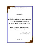 Phản ứng của đậu tương DT 2008 nảy mầm trong điều kiện áp suất thẩm thấu khác nhau 