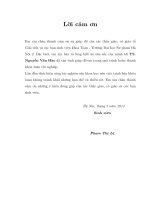 Nghiệm chuỗi của phương trình vi phân tuyến tính phức 