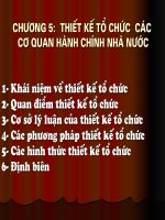 Thiết Kế Tổ Chức Các Cơ Quan Hành Chính Nhà Nước