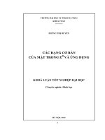 Các dạng cơ bản của mặt trong en và ứng dụng 