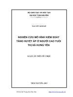 Nghiên cứu mô hình kiểm soát tăng huyết áp ở người cao tuổi thị xã hưng yên