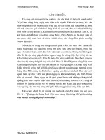 Quảng cáo hàng hoá Việt nam sang thị trường thế giới, những vấn đề đặt ra và giải pháp hoàn thiện