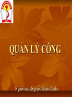 Khái Niệm Nhà Quản Lý Công – Nguyễn Xuân Canh