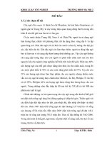 Nghiên cứu một số giống ngô lai trong tập đoàn các giống ngô lai trồng tại khu vực xã ngọc thanh   phúc yên   vĩnh phúc 