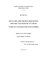 Tối ưu hoá môi trường dinh dưỡng cho việc tạo màng BC từ chủng vi khuẩn acetobacter xylimun BHN2 