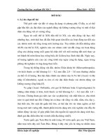 Nghiên cứu sự biến động thành phần loài ve giáp (acari oribatida) ở rừng tự nhiên tại vườn quốc gia tam đảo   tỉnh vĩnh phúc 