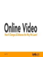 Online video how it changes  enhances the way we learn 