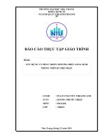 XÂY DỰNG VÀ PHÁT TRIỂN THƯƠNG HIỆU LONG SINH TRONG THỜI KỲ HỘI NHẬP