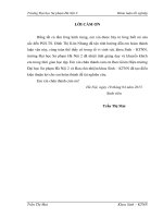 Nghiên cứu quá trình tạo màng BC từ chủng gluconacetobacter ứng dụng làm bao bì bảo quản thực phẩm và thay thế túi nilông 