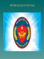 Bài Giảng Thủ Tục Hải Quan