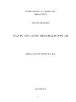 Toán tử năng lượng trong biểu diễn số hạt 