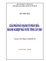 giải pháp đẩy mạnh cổ phần hóa doanh nghiệp nhà nước tỉnh cần thơ