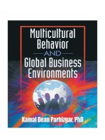 Multicultural behavior and global business environments 