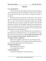 Phương pháp lưới giải bài toán hỗn hợp với các phương trình dạng hyperbolic, phương trình dạng poisson 