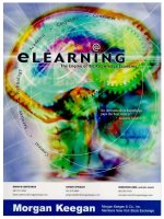 E learning the engine of the knowledge economy ( e learning industry report) 