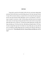 Biện pháp phát triển bền vững mặt hàng xuất khẩu gạo của Việt Nam