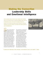 Leadership skills and emotional intelligence 