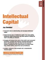 Capstone 01 06 intellectual capital 