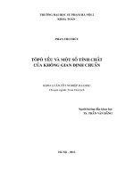 Tôpô yếu và một số tính chất của không gian định chuẩn 
