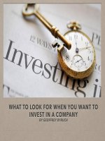 What to look for when you want to invest in a company by geoffrey byruch 