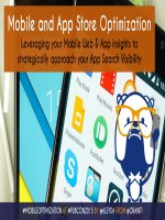 Using your mobile web  app data for an strategic app visibility approach 