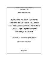 Bước đầu nghiên cứu sinh trưởng phát triển của loài sao đen (hopea odorata ROXB ) trồng tại trạm đa dạng sinh học mê linh 