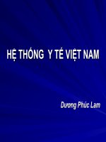 Hệ Thống Y Tế Việt Nam – Dương Phúc Lam