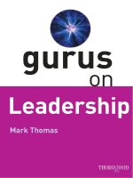 Gurus on leadership 