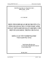 Phân tích mối quan hệ di truyền của sâm lào (panax SP ) và sâm ngọc linh (panax vietnamensis HA et grushv ) với một số loài khác nhau trong chi panax 