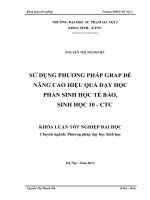 Sử dụng phương pháp grap để nâng cao hiệu quả dạy học phần sinh học tế bào, sinh học 10 CTC 