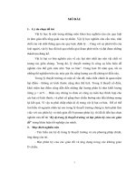 Kỳ dị trong lý thyết trường và bậc phân kỳ của các giản đồ 