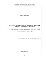 Students perceptions of blog peer feedback for english writing practice 