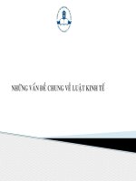 Những Vấn Đề Chung Về Luật Kinh Tế