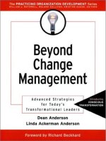 Beyond change management advanced strategies for todays transformational leaders 