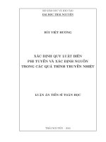 Xác định quy luật biên phi tuyến và xác định nguồn trong các quá trình truyền nhiệt