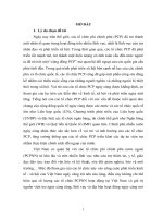 Quản lý nhà nước về hoạt động của các tổ chức phi chính phủ nước ngoài tại thành phố hồ chí minh 