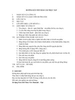 HƯỚNG dẫn VIẾT báo cáo THỰC tập  