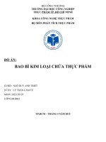 Đồ án phân tích bao bì kim loại