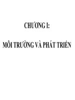 CHƯƠNG i môi TRƯỜNG và PHÁT TRIỂN  (2) 