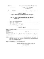 Mẫu quyết định bổ nhiệm giám đốc, tổng giám đốc