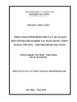 Phân tích tình hình cho vay ngắn hạn đối với doanh nghiệp tại ngân hàng TMCP ngoại thương chi nhánh quảng ngãi 