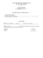 Mẫu quyết định thôi việc