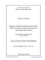 Thiết kế vector chuyển gen kháng virut trên cây thuốc lá mang gen chọn lọc thân thiện môi trường