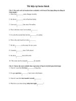 Bài tập hiện tại hiện tại hoàn thành