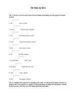 Bài tập hiện tại đơn tiếng anh