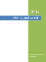 Báo cáo nghành thép 2011-2012