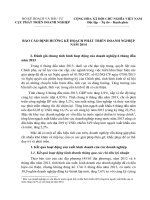 báo cáo định hướng phát triển doanh nghiệp 2014