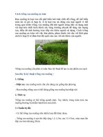 Cách trồng rau muống an toàn